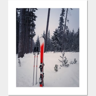 Pair of skis Posters and Art